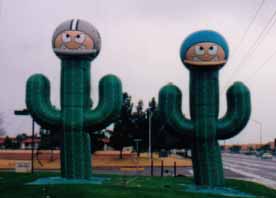 Saguaro cacti with football helmets- 25' tall